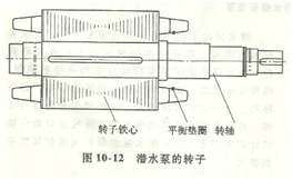 潜水泵转子示意图