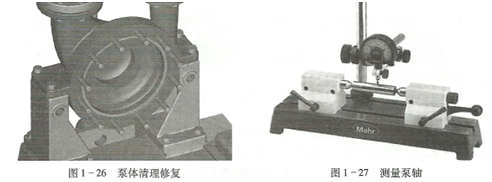 大东海泵业水泵图片