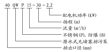 大东海泵业潜水排污泵型号意义