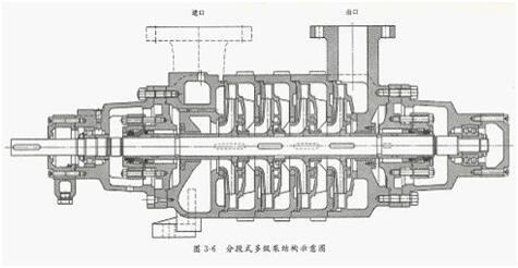 大东海泵业离心泵结构示意图7