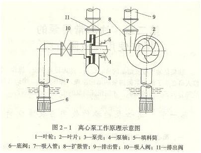 大东海泵业离心泵工作示意图