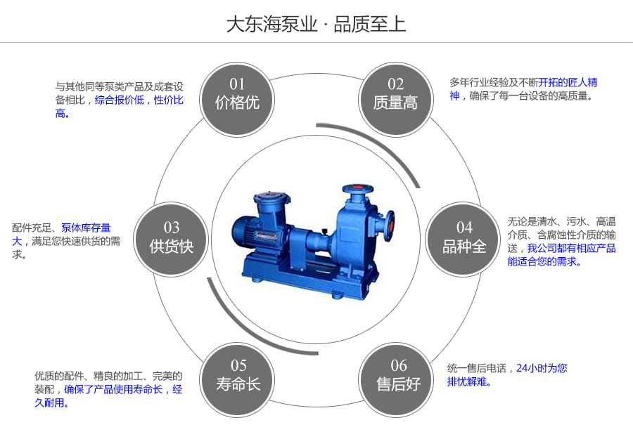 大东海泵业自吸式油泵质量保证图