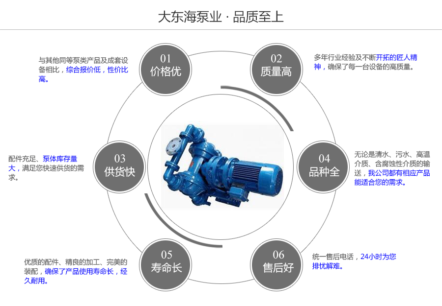 大东海泵业电动隔膜泵质量保证图